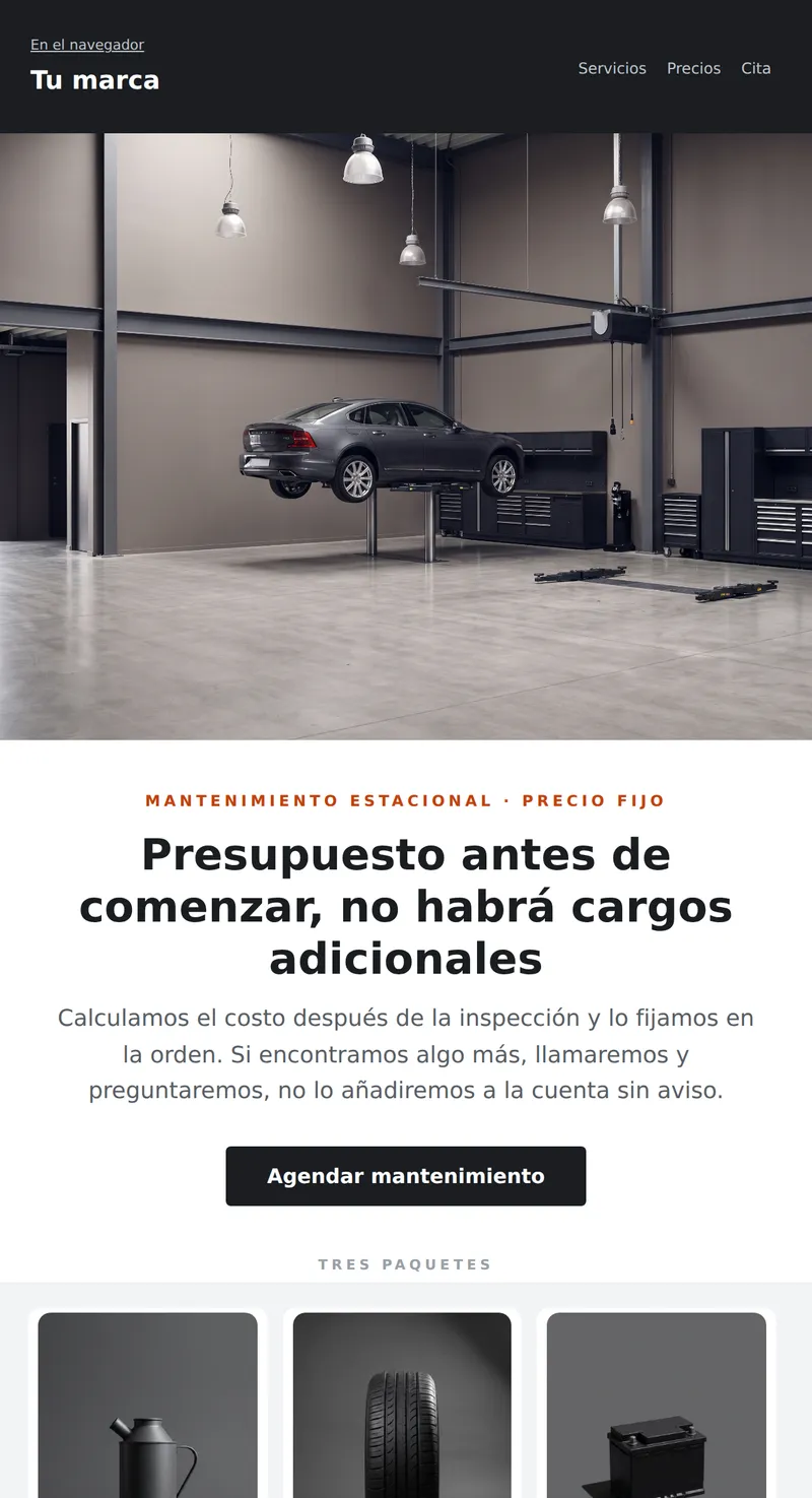 Promo: mantenimiento estacional (auto)
