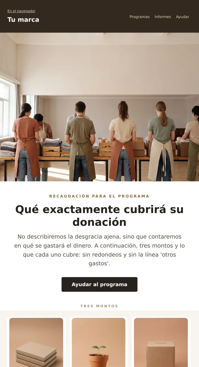 Promoción: recaudación para el programa (sin fines de lucro)