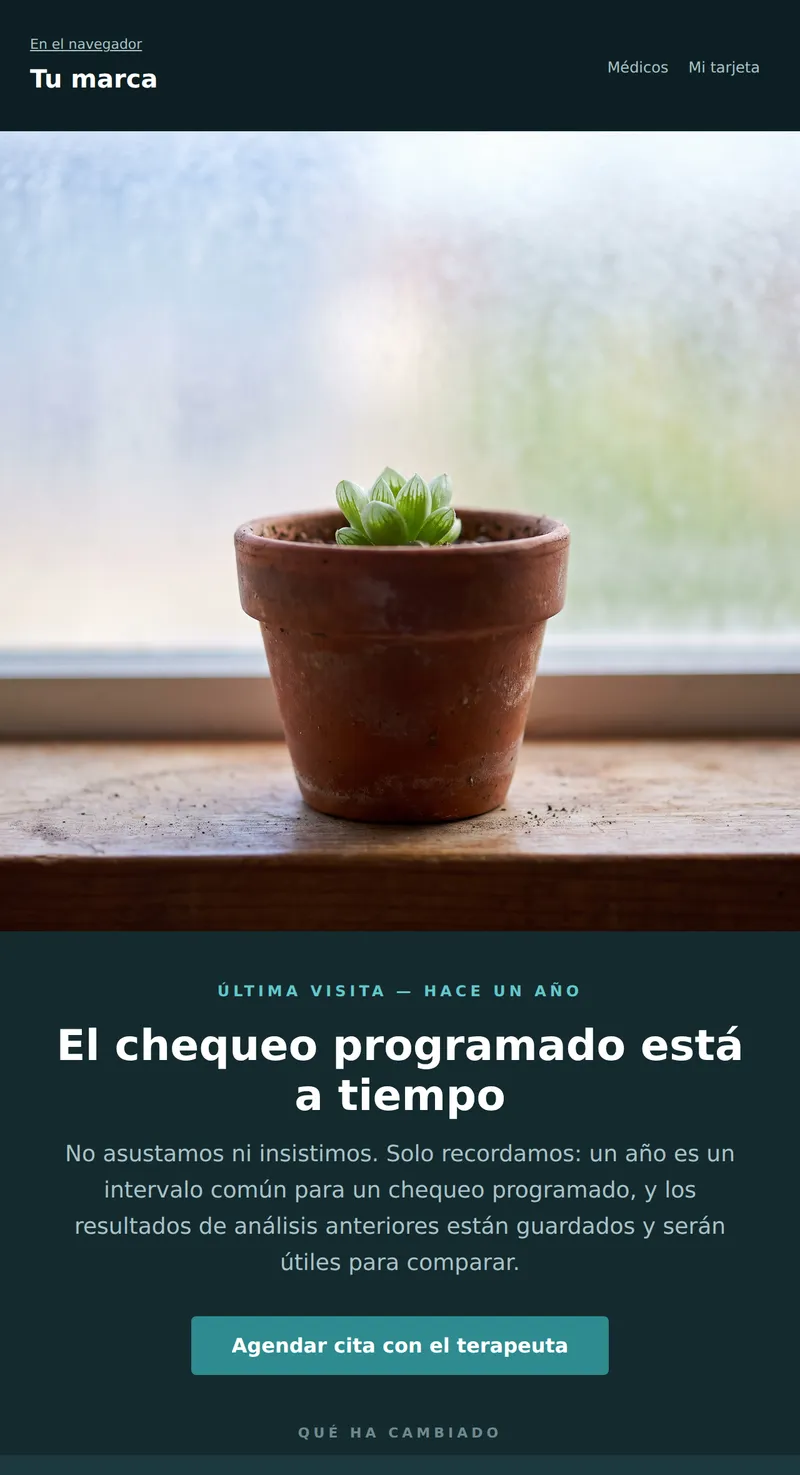 Reactivación: un año sin chequeos (clínicas)