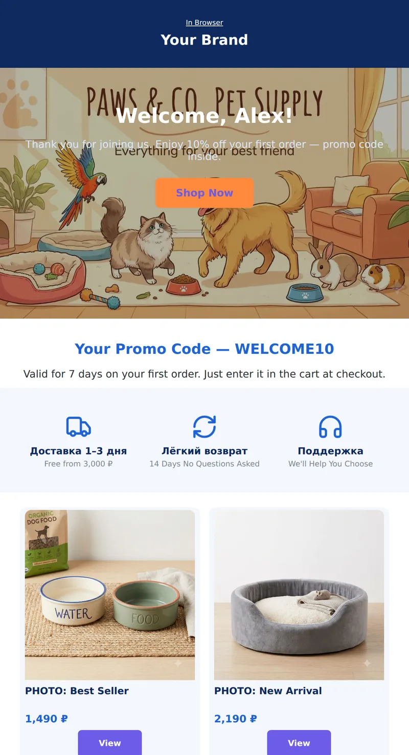 Welcome: New Customer Discount (Online Store)