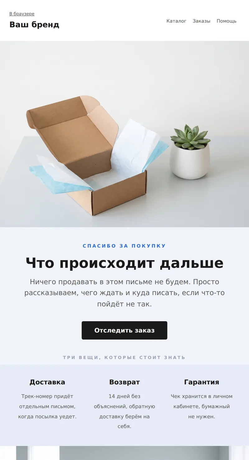 Спасибо за покупку: что дальше (универсальный)